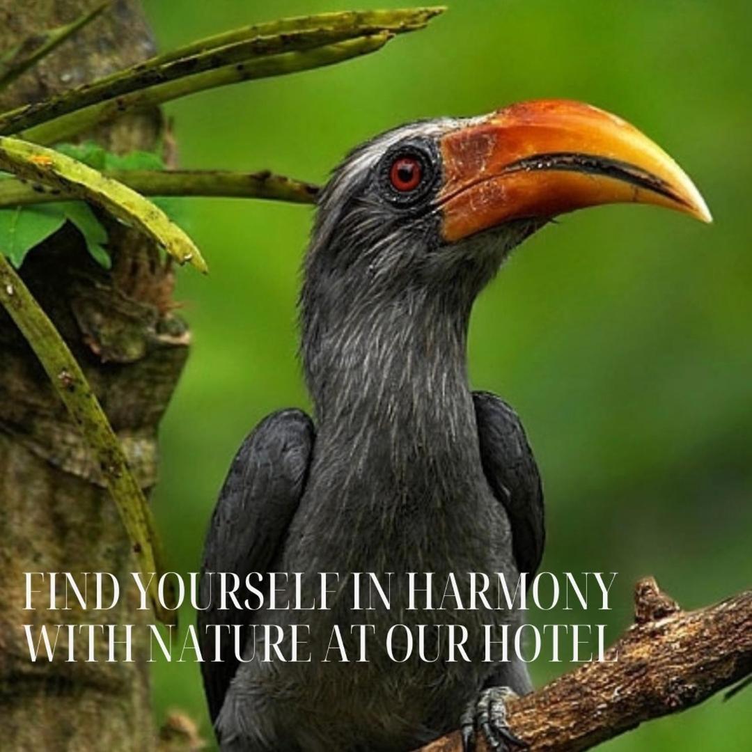 Hotel Bird Paradise Sigiriya Eksteriør billede